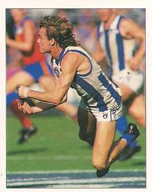 1994 Select AFL Stickers #181 Dean Laidley Front